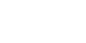 Samarbejdspartner Logo