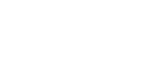 Samarbejdspartner Logo