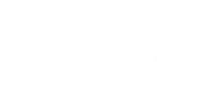 Samarbejdspartner Logo