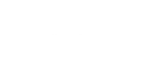 Samarbejdspartner Logo