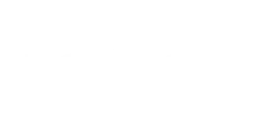 Samarbejdspartner Logo